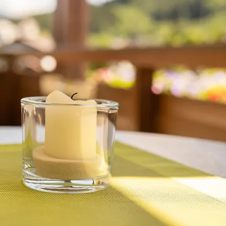 Daire Nr 2 Haus Voglreiter Kaprun