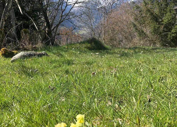 Appartement Nr 2 Haus Voglreiter *